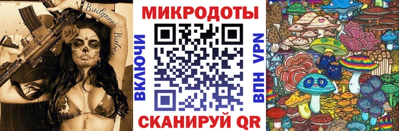 Галлюциногенные грибы Psilocybine cubensis Надым